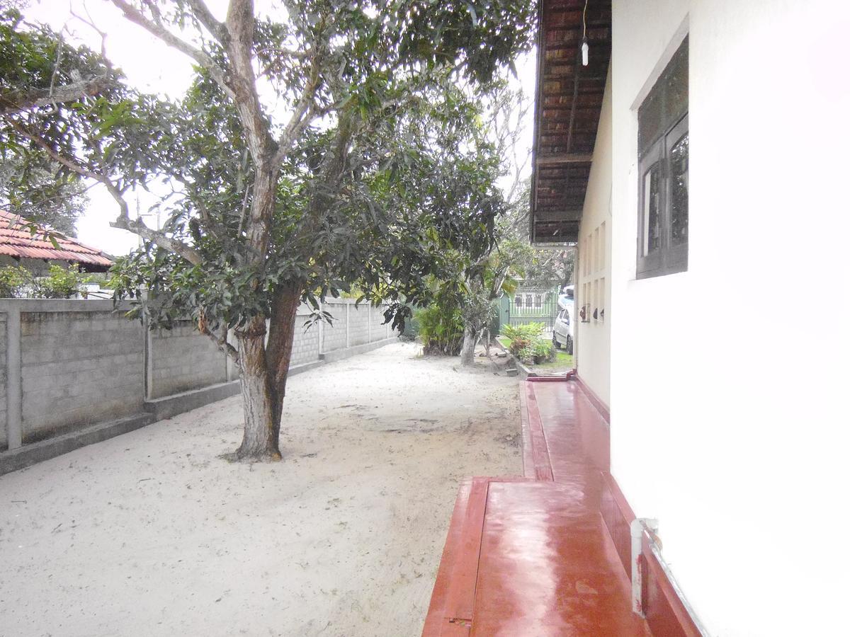 Mama'S Hostel By Taprobane Negombo Exterior foto
