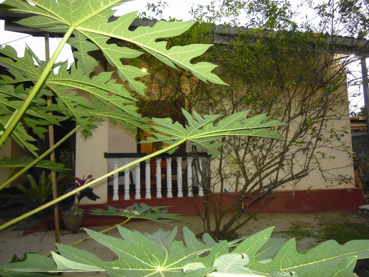Mama'S Hostel By Taprobane Negombo Exterior foto